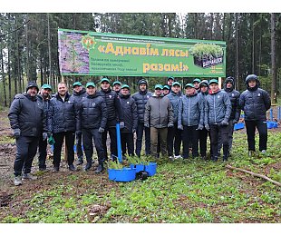 Федерация хоккея Беларуси и минское «Динамо» совместно обновили лесной массив