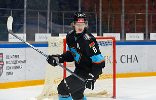 Дмитрий Хобян дисквалифицирован на 1 матч и подвергнут денежному штрафу, Никите Павлову выписан денежный штраф 