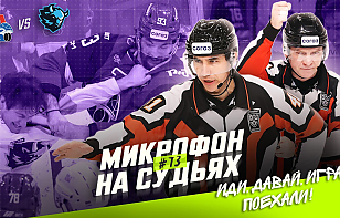 «Подслушано» с судьями КХЛ на матче минского «Динамо» и «Локомотива»
