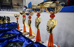 Минское «Динамо» выиграло медальный зачет в первенствах Беларуси младших возрастов