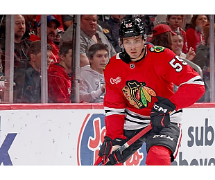 «Чикаго» в гостях обыграл «Детройт», Артем Левшунов набрал 2 очка