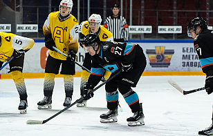 «Динамо-Шинник» начинает серию плей-ин МХЛ против «Алмаза». Трансляция и онлайн