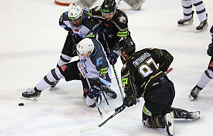 «Белсталь» сыграет с «Соболем», «Ястребы» – с «Юниором», U18 примет «Рысей», а «Динамо-Олимпик» – «Рыцарей»