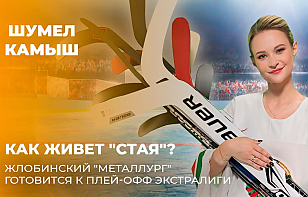 «Шумел Камыш»: как живет «стая»? Жлобинский «Металлург» готовится к плей-офф