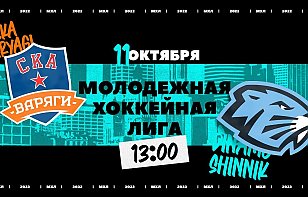 «Динамо-Шинник» проведет гостевой матч против «СКА-Варягов»: прямая трансляция и онлайн