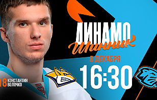 «Динамо-Шинник» встретится со «Стальными Лисами»: трансляция