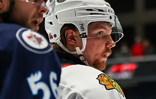 Голевая передача Дмитрия Кузьмина помогла «Рокфорду» одержать победу в матче АХЛ