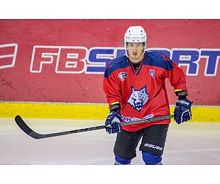 Экс-форвард «Металлурга» Александр Подкорытов продолжит карьеру в ВХЛ