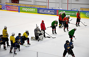 «Рыси» определились с заявкой для участия в Кубке Цыплакова