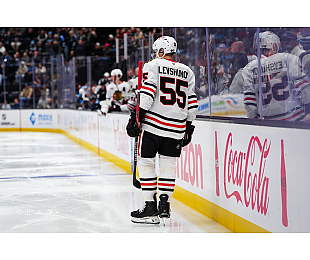 «Чикаго» уступил «Сан-Хосе», Левшунов пропустил матч из-за травмы