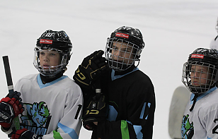 С 6 по 8 февраля на льду «Минск-Арены» пройдет международный турнир среди юных хоккеистов Беларуси, Венгрии, России и Словакии