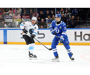 В шаге от выхода во второй раунд. Минское «Динамо» сыграет четвертый матч с московскими динамовцами в Кубке Гагарина