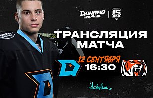 «Динамо-Шинник» продолжит домашнюю серию матчем против «Амурских Тигров»: прямая трансляция