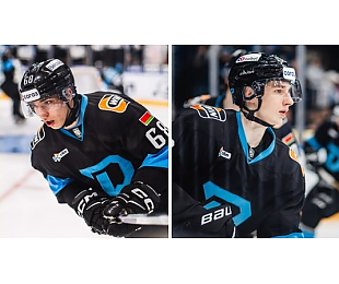 Николай Салыго и Богдан Белкин пополнили состав «Динамо-Шинника» перед стартом в плей-офф МХЛ 