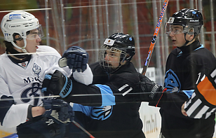 «Динамо-Шинник» сегодня в Бобруйске открывает постсезон. На кону – путевка в Золотой дивизион и в Кубок Харламова