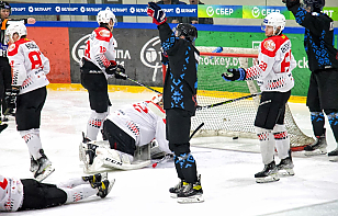 Домашние матчи «Cоболя» с «Ястребами» будут тематическими