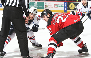 Егор Шарангович: иногда даже были мысли вернуться в КХЛ. Агент говорил не думать об этом