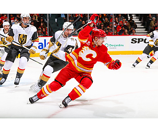 «Калгари» с Шаранговичем одолел «Вегас» на домашнем льду