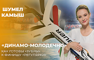«Шумел Камыш» | «Динамо-Молодечно» – как «зубры» готовы к финишу регулярки Betera-Экстралиги