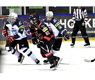 Матчем «Ястребов» и «Соболя» в Пинске стартует полуфинальная стадия плей-офф Betera-Высшей лиги. Трансляция и онлайн