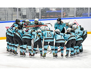 Стала известна заявка «Минчанки» на второй тур Женской лиги