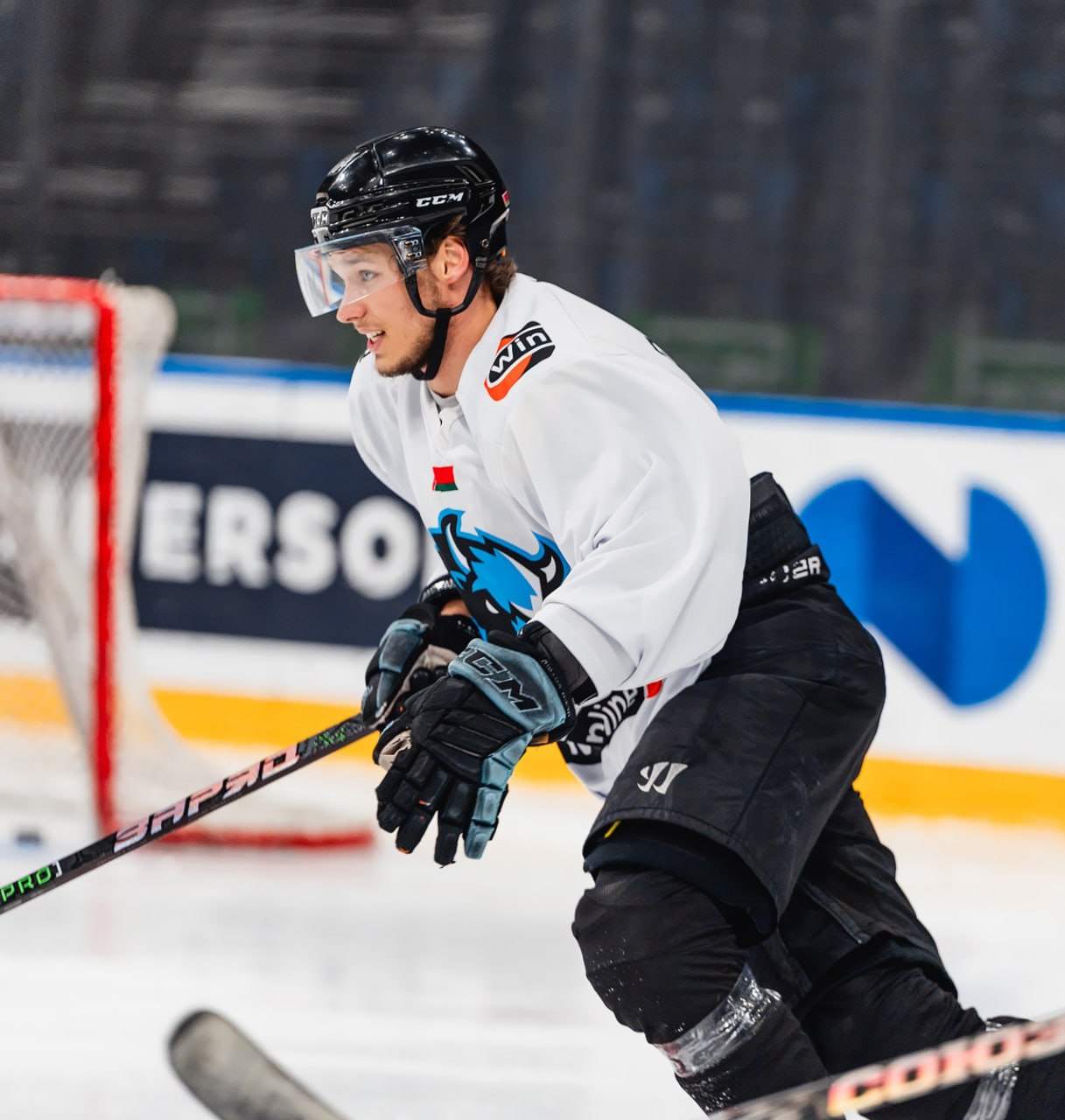 Степан Звягин