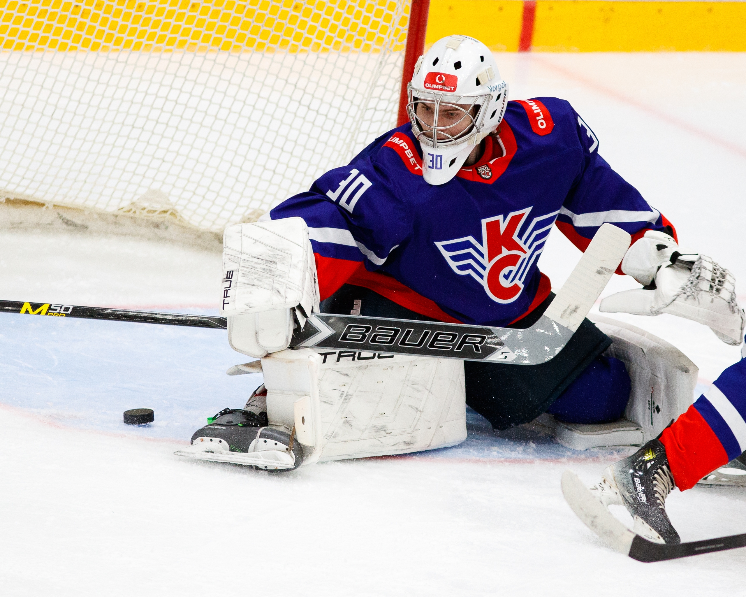 Александр Гулев