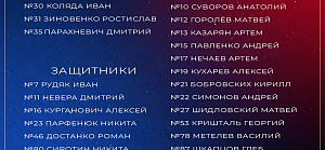 Заявка «Юности» на Кубок Салея