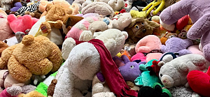 БОЛЬШОЙ МИШКОПАД В МОГИЛЕВЕ пройдет 18 декабря