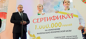 В Жлобине пройдет обновление ледовой арены: площадка станет канадской, заменят свет