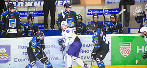 Betera-Высшая лига: Нефтехимик vs Медведи