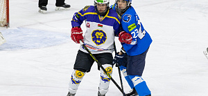 "МЕДВЕДИ" ДВА РАЗА ОБЫГРАЛИ "ДНЕПРОВСКИХ ЛЬВОВ"