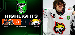 Видеообзор первого матча «Гомеля» против «Шахтера» в четвертьфинальной серии