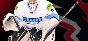 Вратарь Александр Ермола покидает "Ястребов"