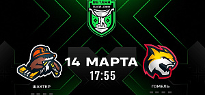 Шахтер – Гомель. Прямая трансляция матча