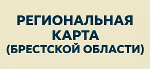 Региональная карта помощи (Брестская область)