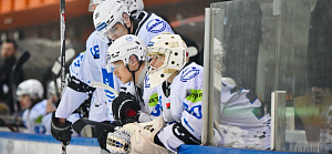 Betera-Высшая лига: Ястребы vs Нефтехимик