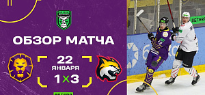 Хайлайты прошедшего победного матча «Гомеля» против «Могилева»