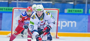 Михаил Стефанович: такой плотной регулярки не припомню