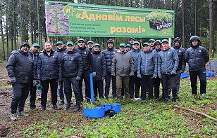 Федерация хоккея Беларуси и минское «Динамо» совместно обновили лесной массив
